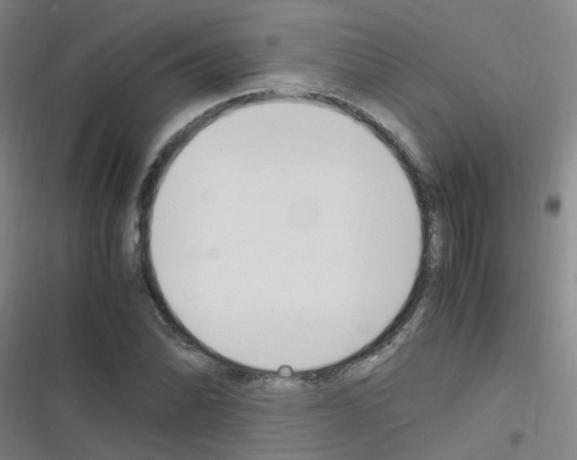 X0000116351070201001131101