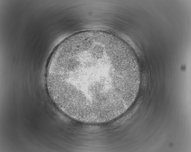 X0000116351071201001131101