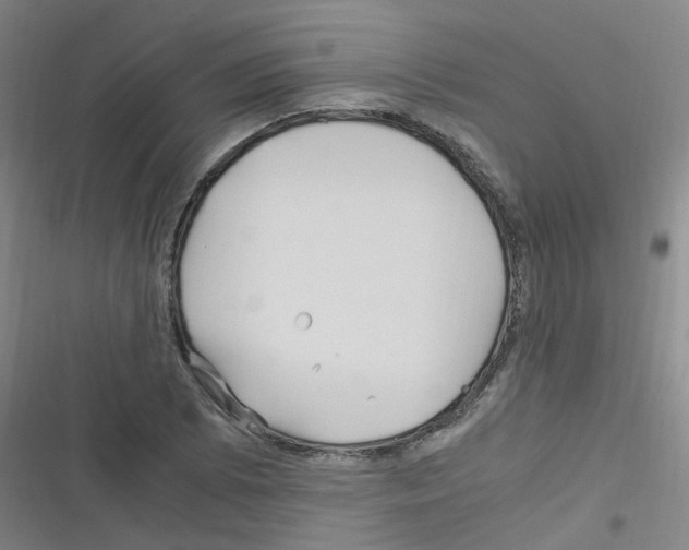 X0000116351073201001131101
