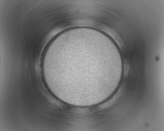 X0000116351074201001131101