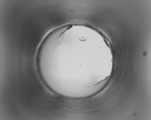 X0000116351075201001131101
