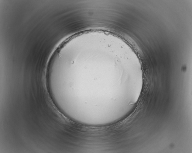 X0000116351076201001131101