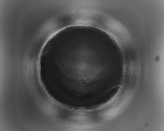 X0000116351077201001131101