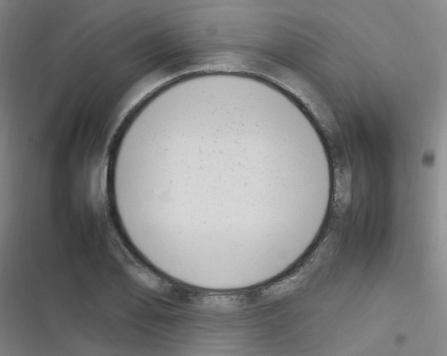 X0000116351078201001131101