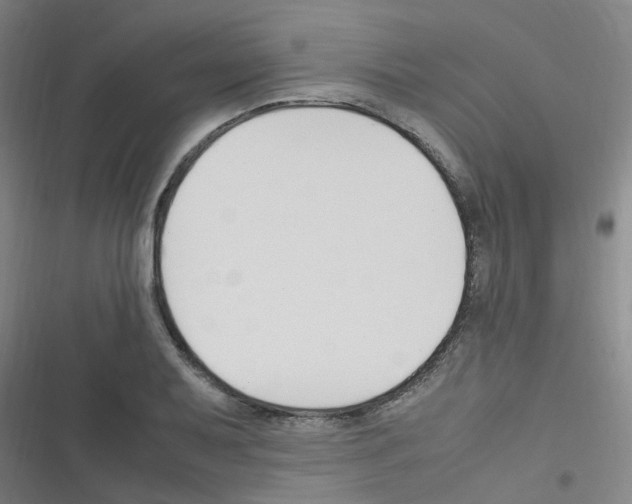 X0000116351079201001131101