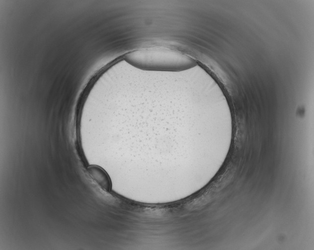 X0000116351080201001131101