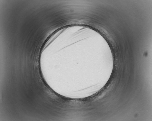 X0000116351081201001131101