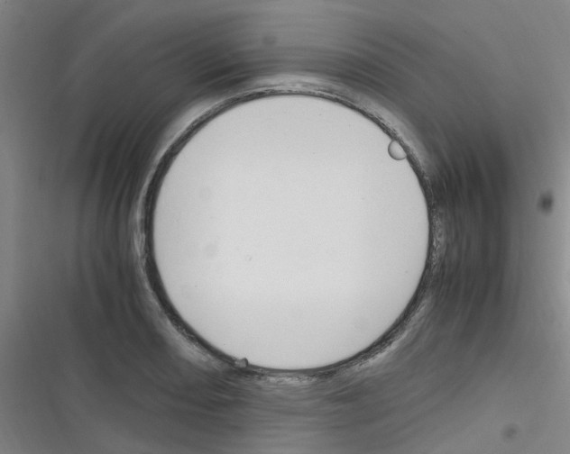 X0000116351082201001131101