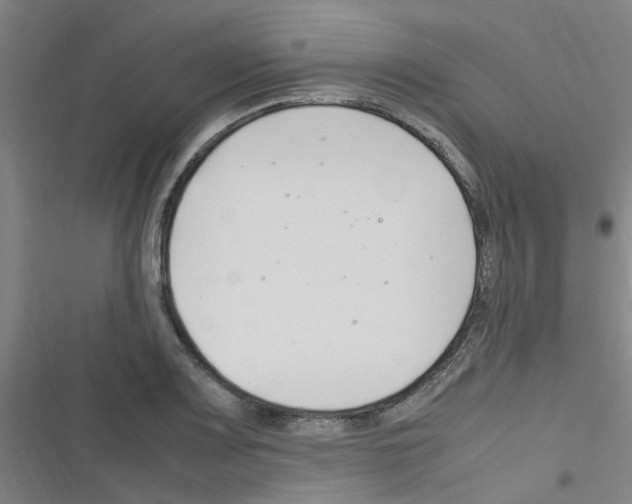 X0000116351083201001131101