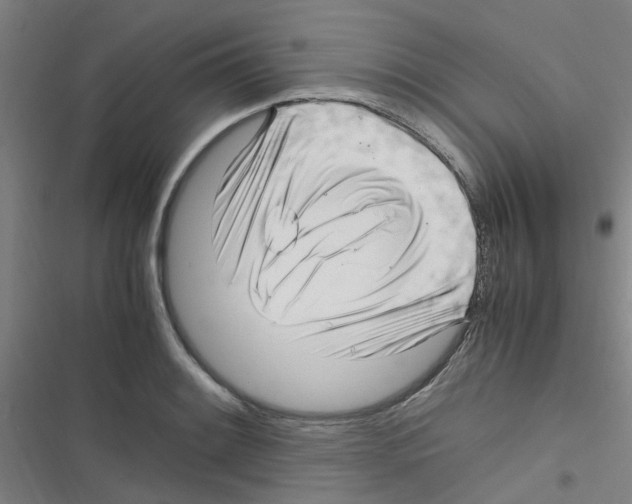 X0000116351084201001131101