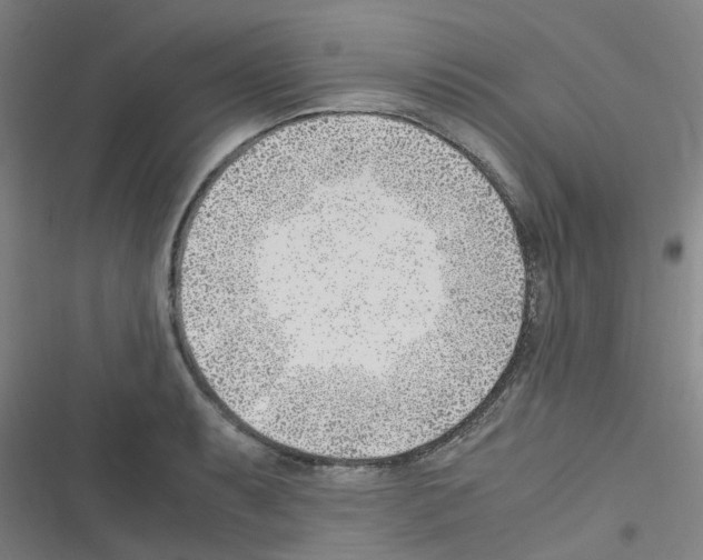 X0000116351087201001131101