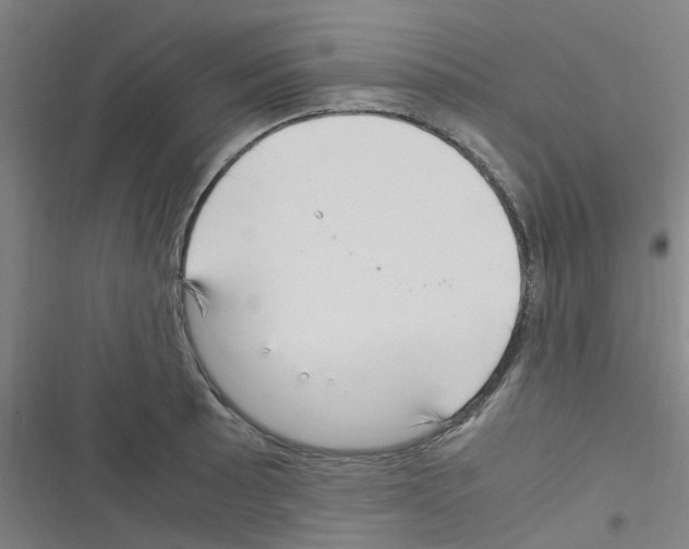 X0000116351089201001131101