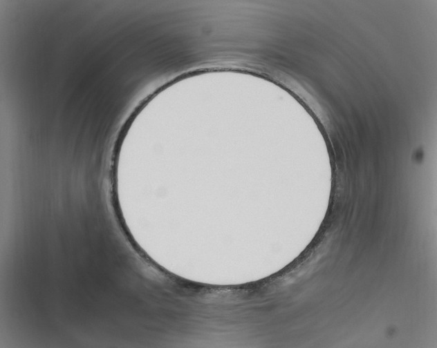 X0000116351093201001131101