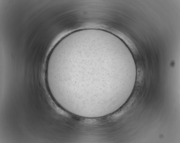 X0000116351094201001131101