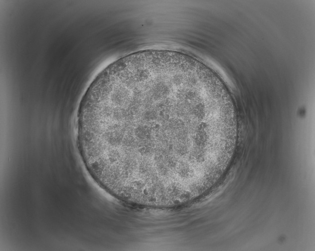X0000116351095201001131101