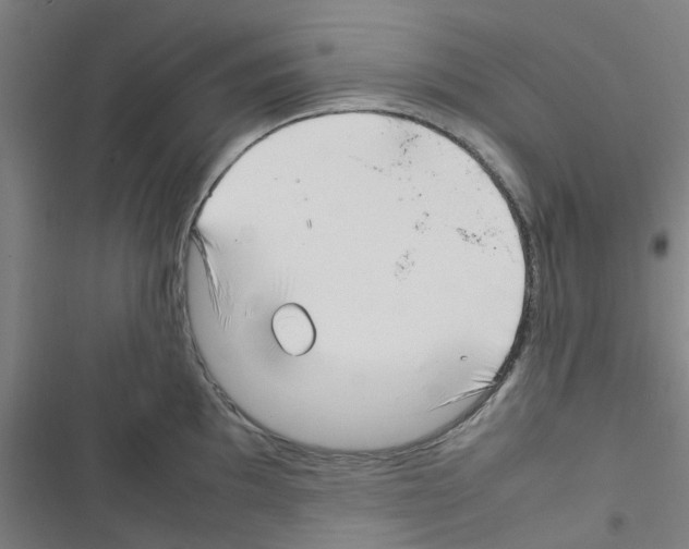 X0000116351097201001131101