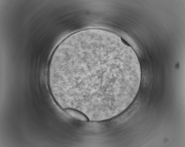 X0000116351100201001131101