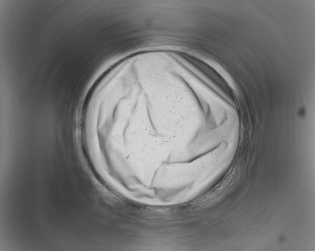 X0000116351101201001131101