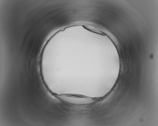 X0000116351102201001131101