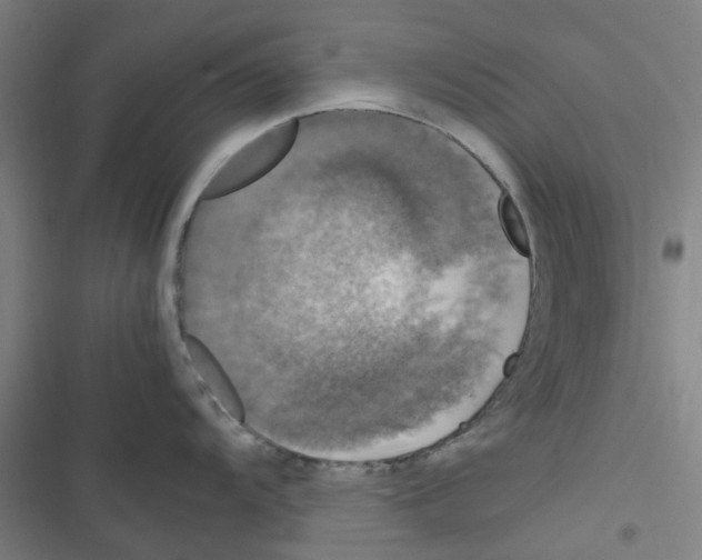 X0000116351104201001131101