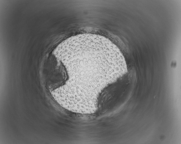 X0000116351105201001131100