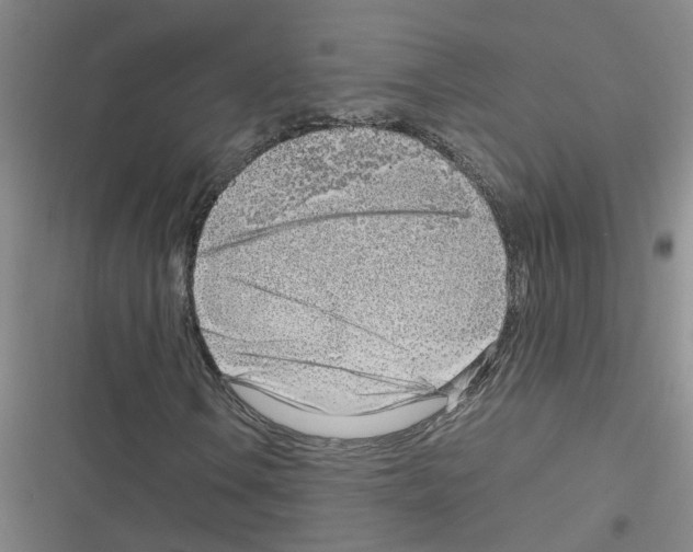 X0000116351106201001131100