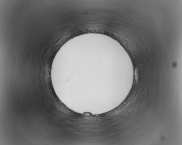 X0000116351107201001131100