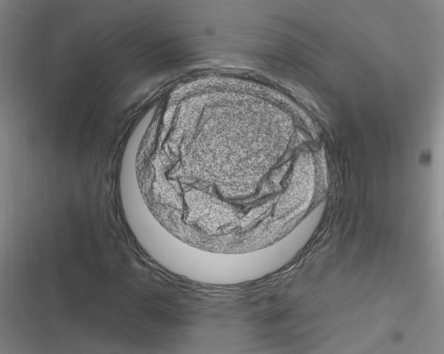 X0000116351110201001131100