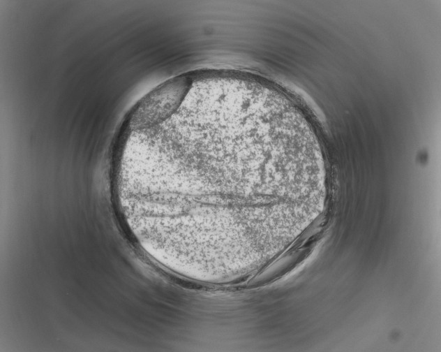 X0000116351114201001131100