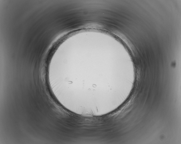 X0000116351115201001131100