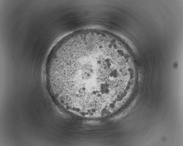 X0000116351117201001131100