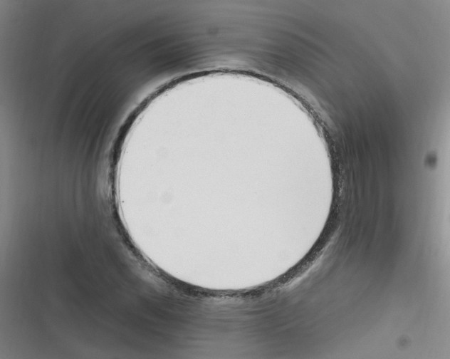 X0000116351118201001131100