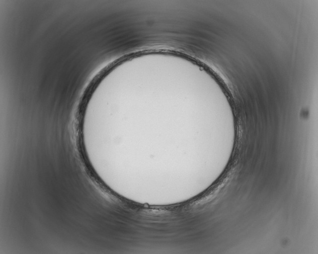 X0000116351119201001131100