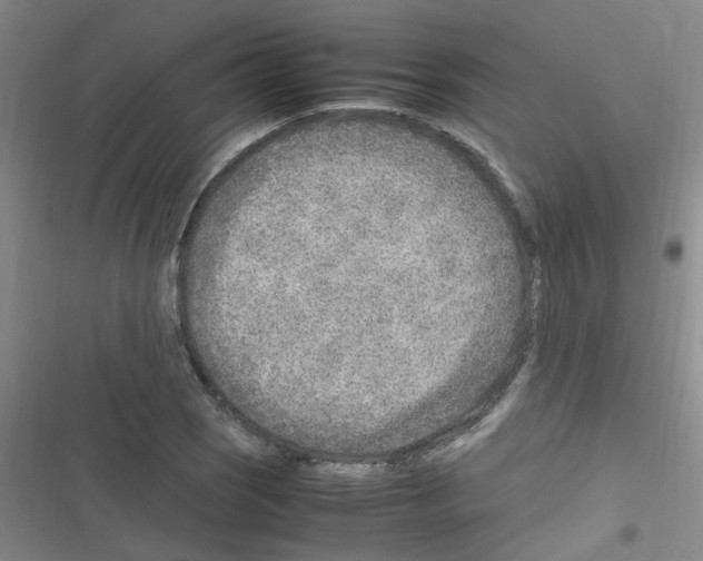 X0000116351121201001131100