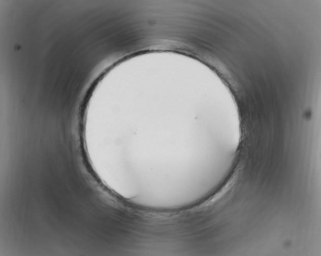 X0000116351122201001131100