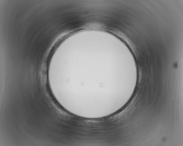 X0000116351123201001131100