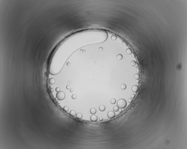 X0000116351126201001131100