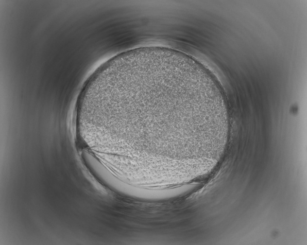 X0000116351127201001131100