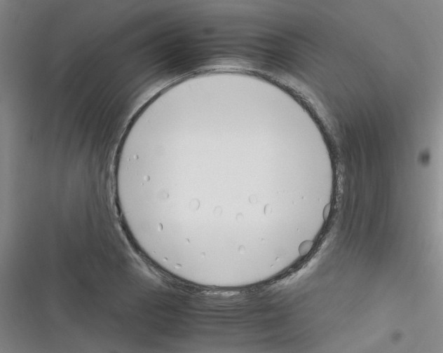 X0000116351129201001131100