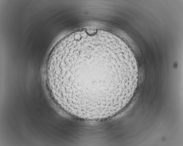 X0000116351130201001131100