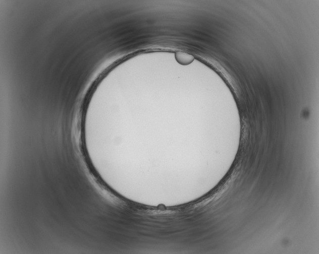 X0000116351131201001131100