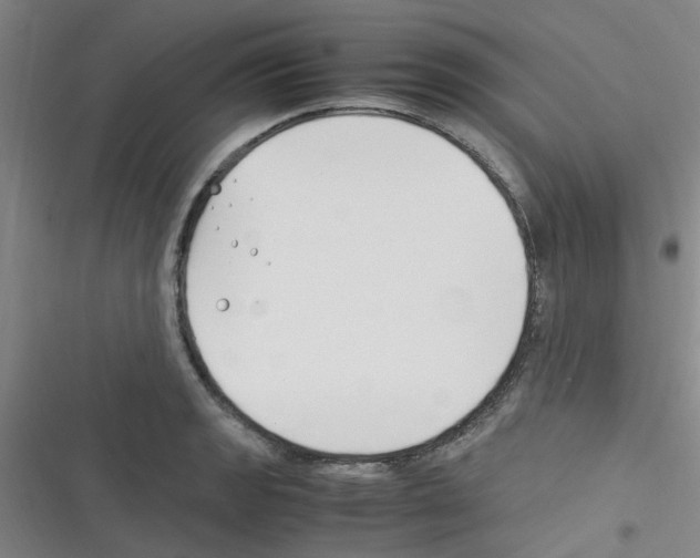 X0000116351133201001131101