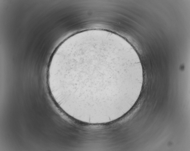X0000116351134201001131101