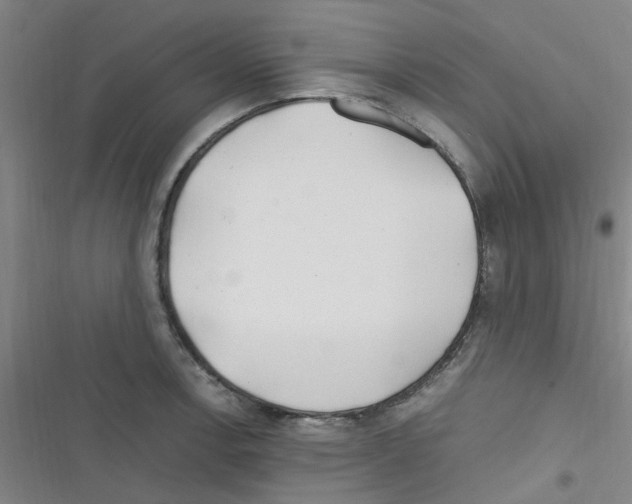 X0000116351138201001131101