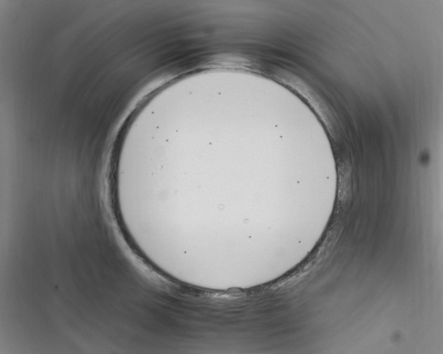 X0000116351139201001131101