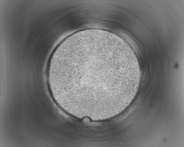 X0000116351141201001131101