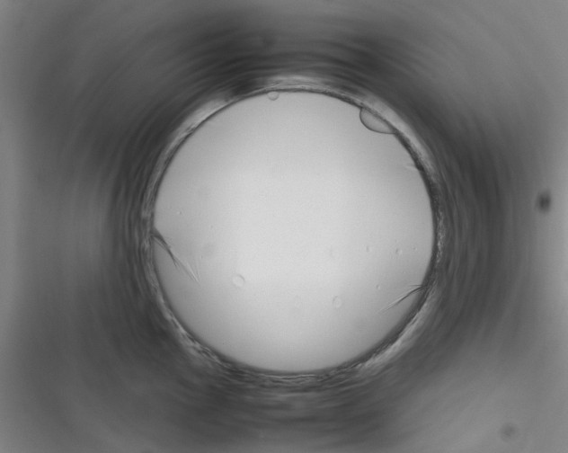 X0000116351145201001131101