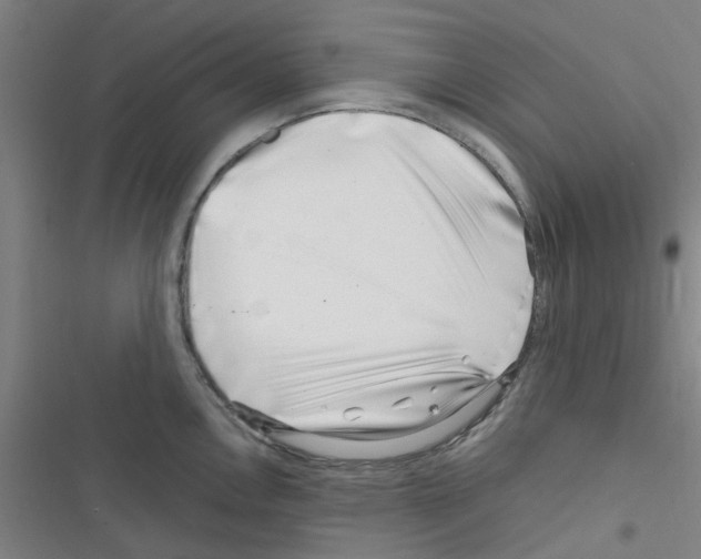 X0000116351146201001131101