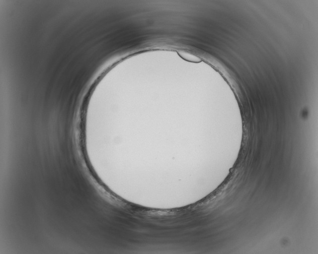 X0000116351147201001131101
