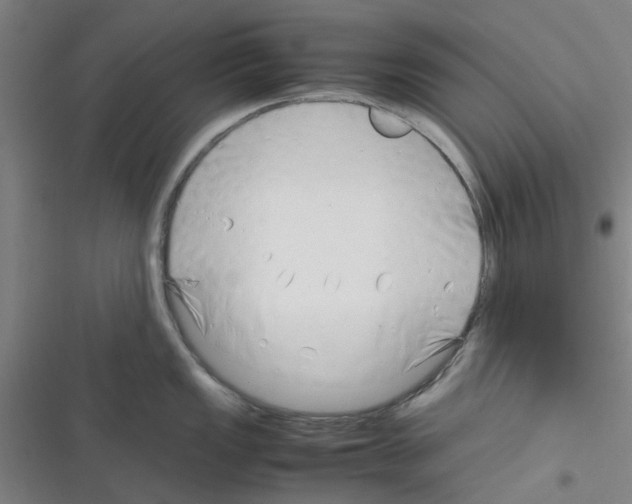 X0000116351149201001131101